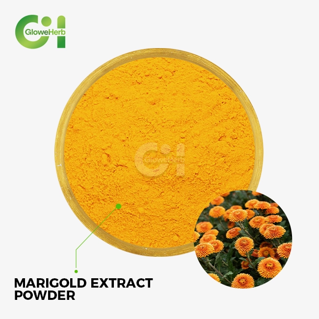 marigold extract powder